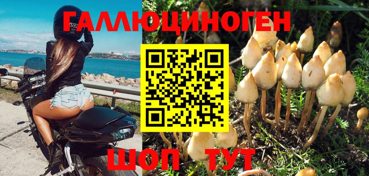 Галлюциногенные грибы ЛСД Киржач